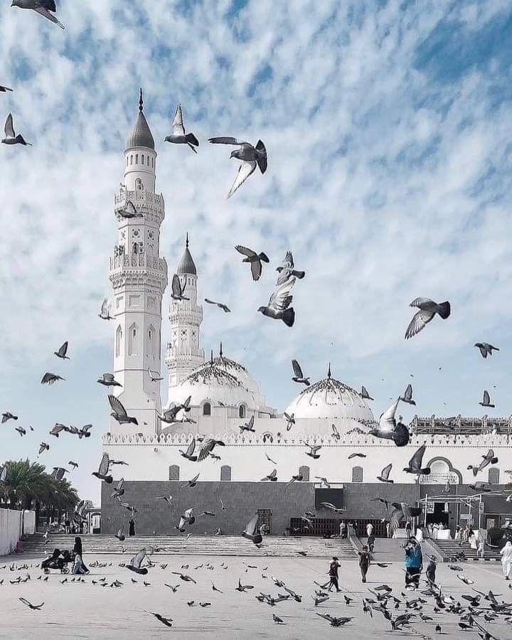 Umroh Plus Turki